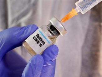 Single-shot COVID-19 vaccine protects non-human primates